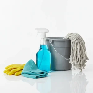 Home Cleaning Service Basic