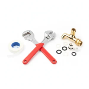 Plumber Visit Service